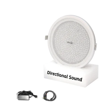 Super Directional Zvočnik 90dB Ceilling Nameščen Ultrazvočni Pozornosti, ki je Usmerjena Žarek Usmerjen Zvočnik